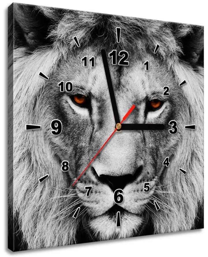Gario Obraz s hodinami Leví pohľad Rozmery: 30 x 30 cm