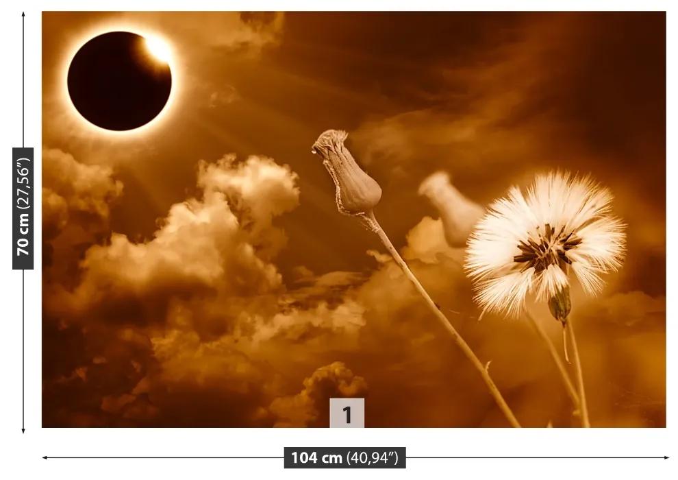 Fototapeta Vliesová Púpava slnka. 250x104 cm