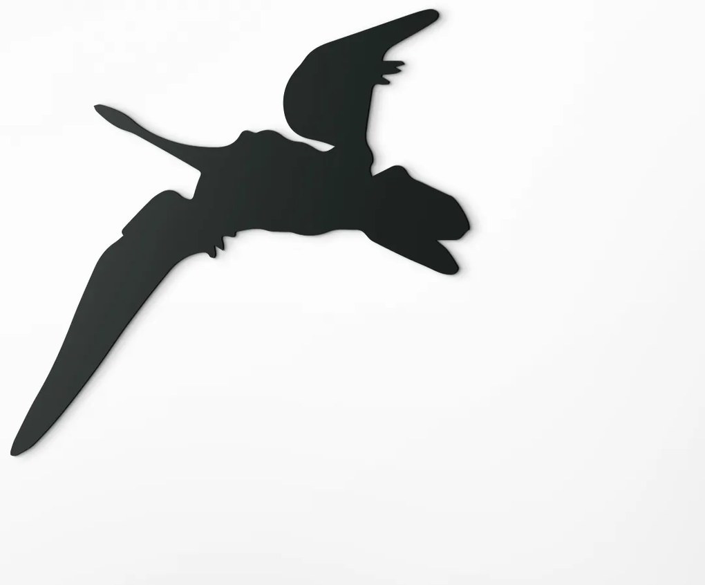 drevko Detská nálepka Pterodactyl Rozmer obrazu: 31,5 x 32,5 cm, Farba dekorácie: Čierna
