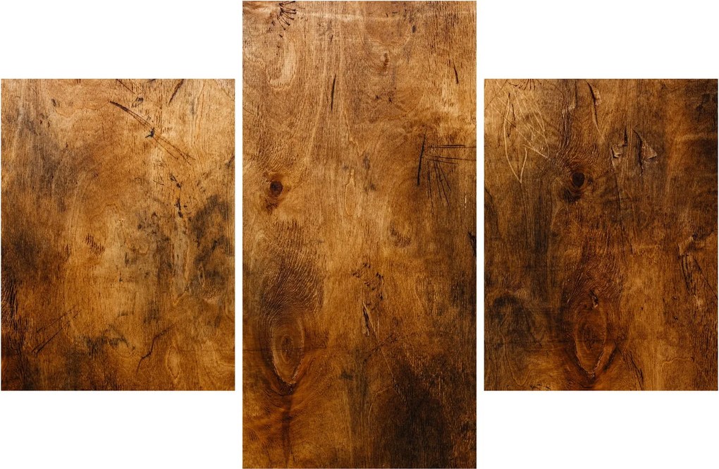Obraz - Detail dreva (90x60 cm)