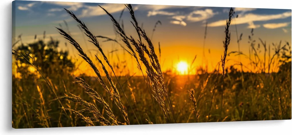 Obraz pole pri západe slnka (120x50 cm)