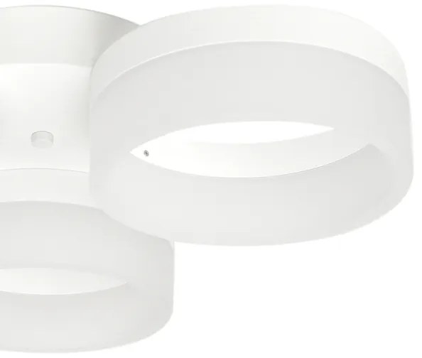 LED Stropné svietidlo RING 3xLED/12W/230V biele