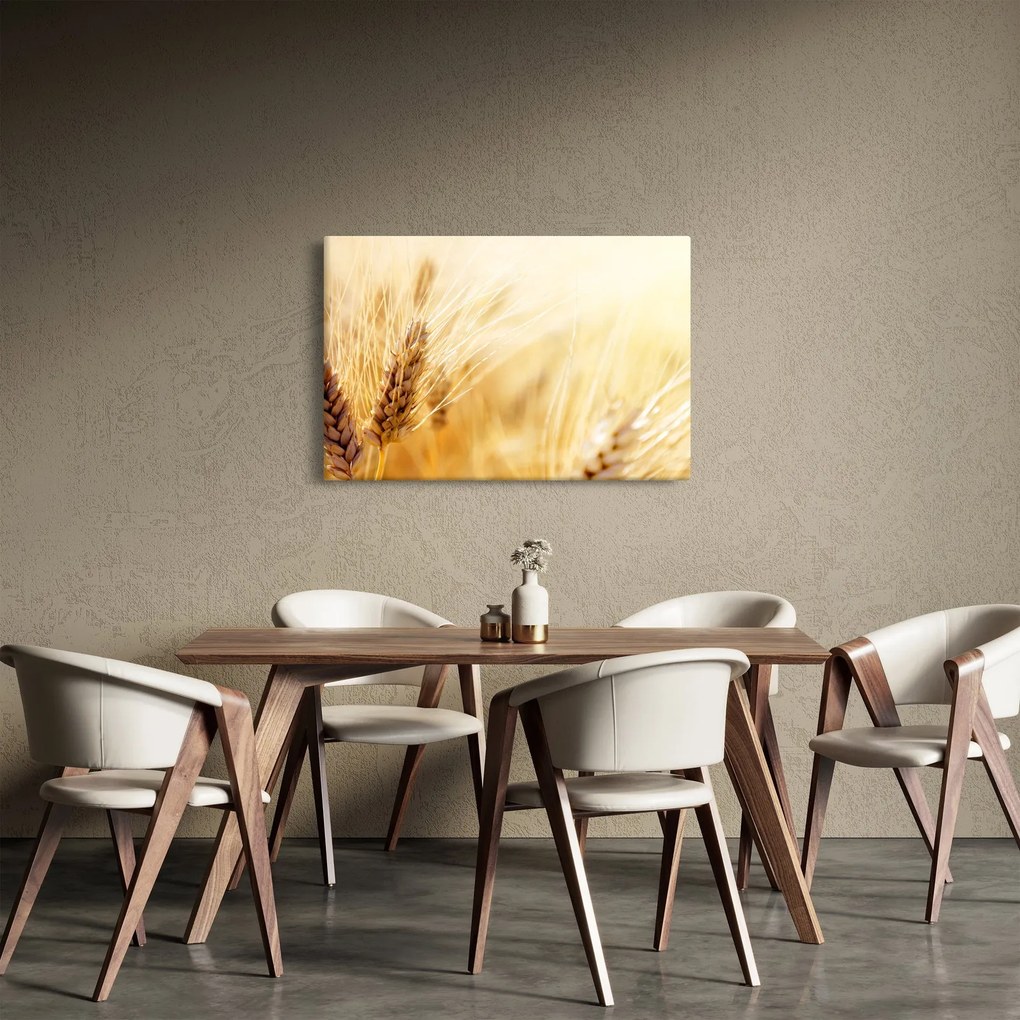 Obraz - detail obilia (90x60 cm)