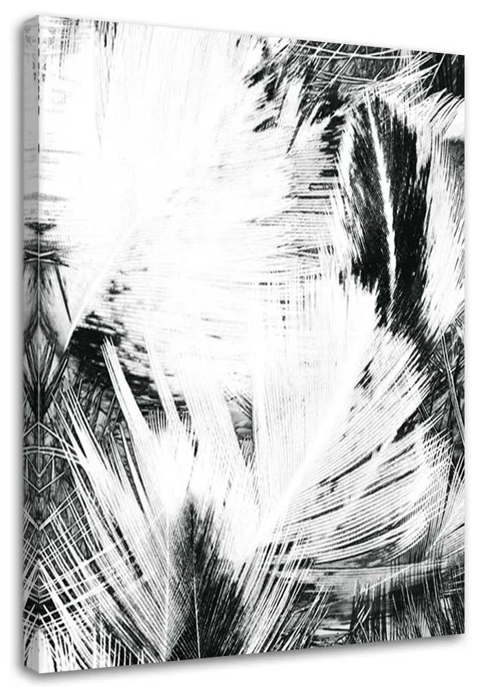 Gario Obraz na plátne Čiernobiela abstrakcia Rozmery: 40 x 60 cm