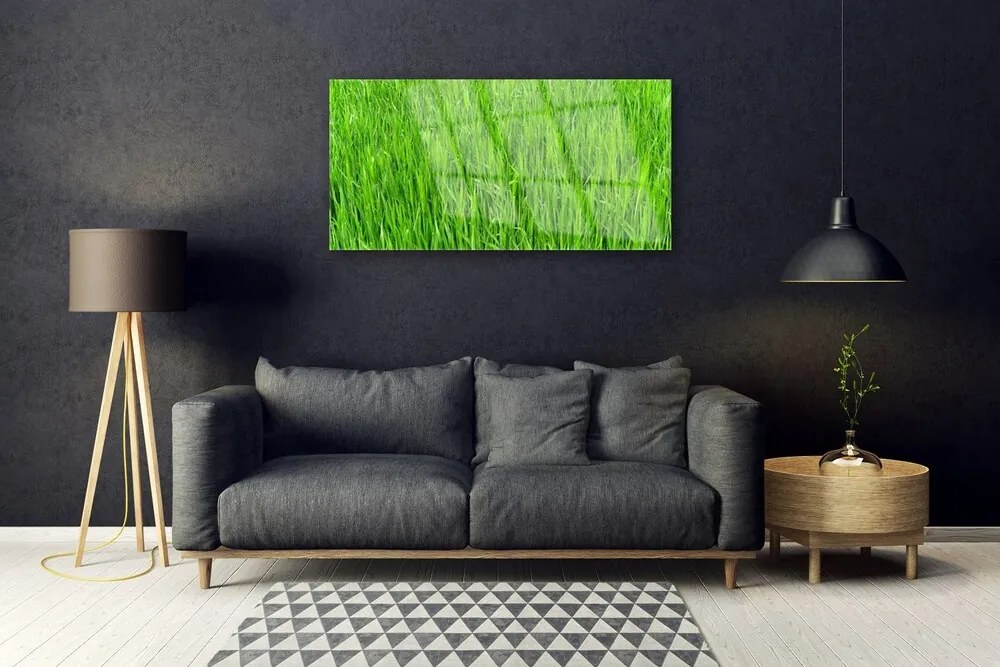 Obraz plexi Zelená tráva príroda trávnik 100x50 cm