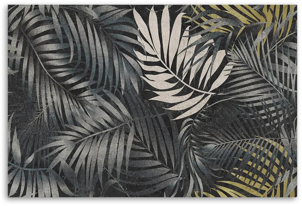 Obraz na plátně, Tmavé tropické listy příroda - 100x70 cm