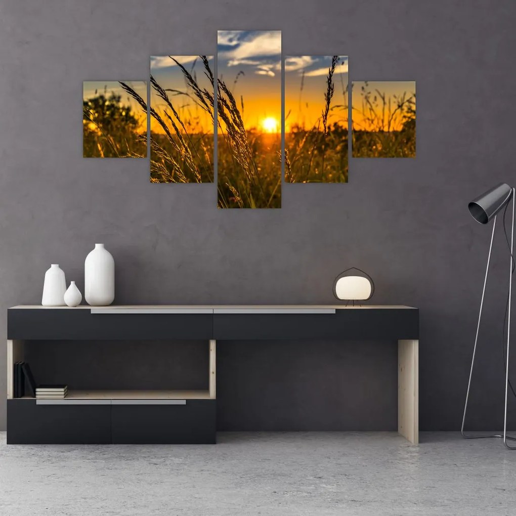 Obraz pole pri západe slnka (125x70 cm), 40 ďalších rozmerov