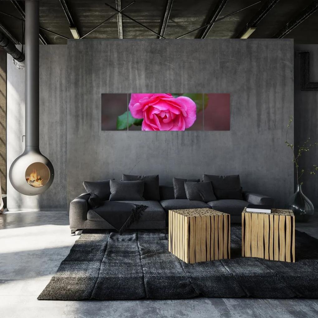 Obraz ruže na stenu