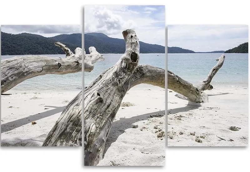 Obraz na plátně třídílný Větev stromu Moře Pláž Hory - 150x100 cm