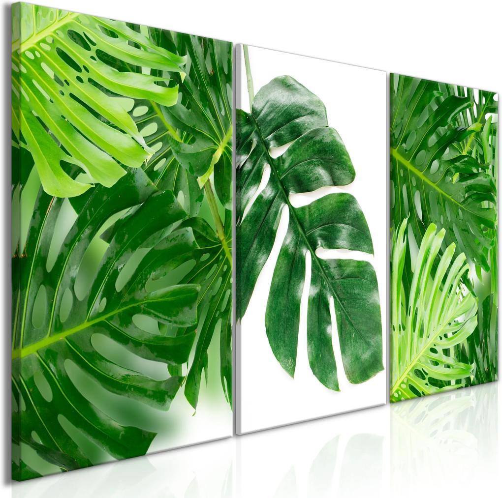 Obraz - Palm Leaves (3 Parts) 120x60