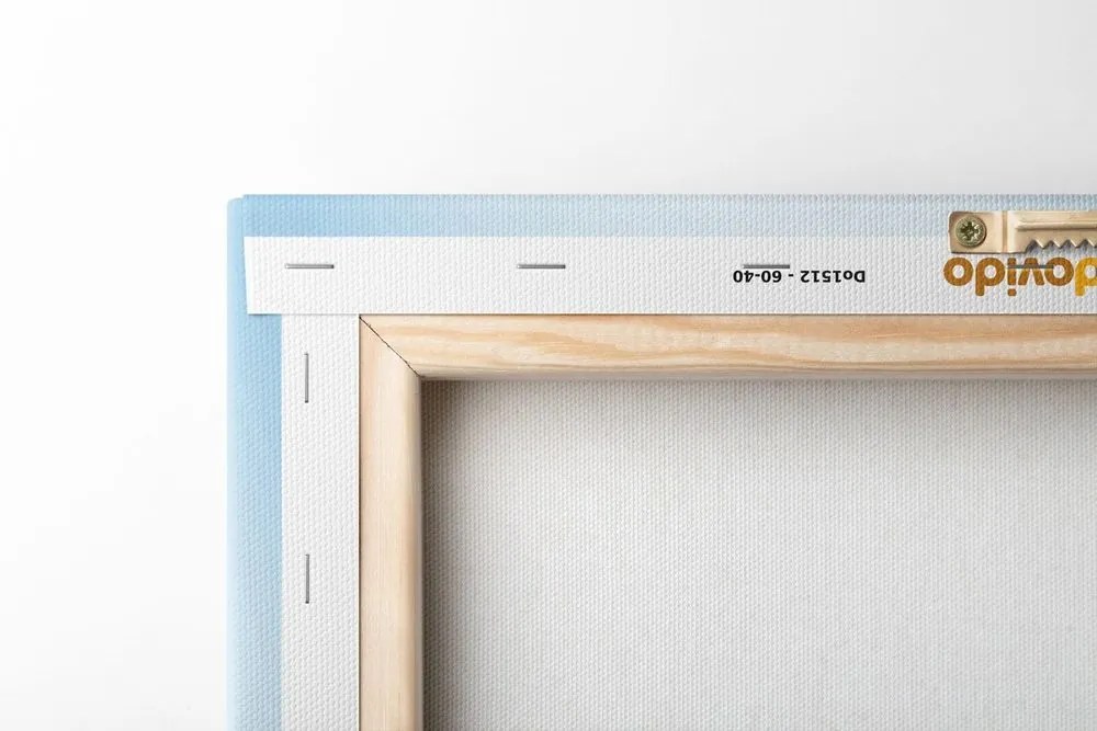 Obraz zasnežená rozprávková krajinka - 60x90