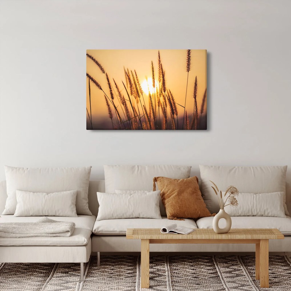 Obraz - Traviny na slnku (90x60 cm)
