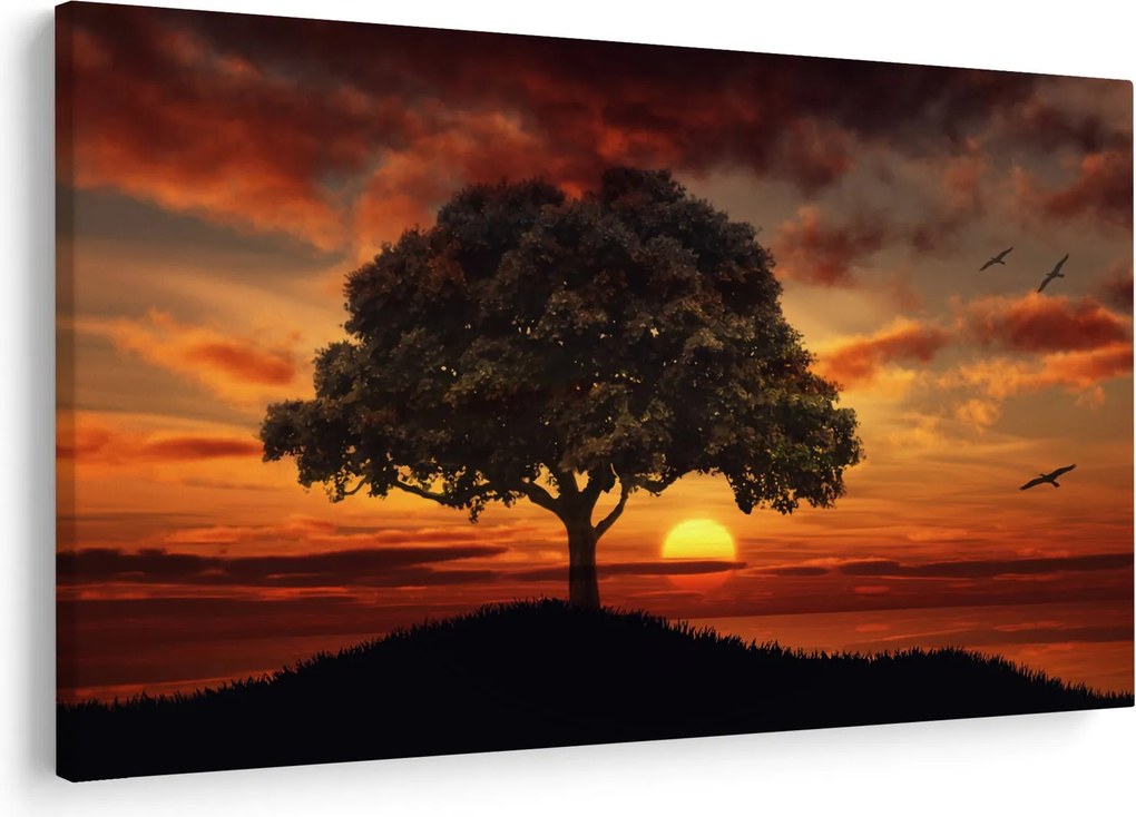 Obraz stromu pri západe slnka (90x60 cm)