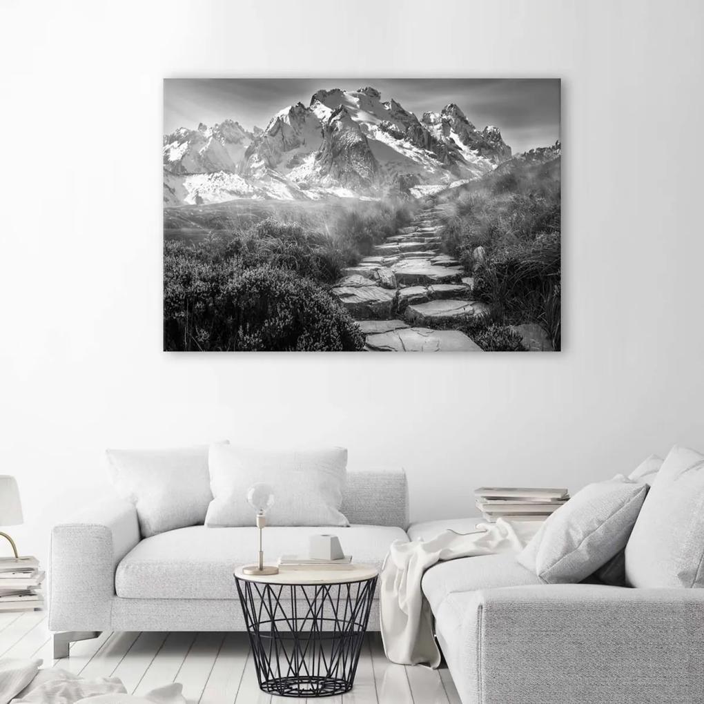 Obraz na plátně Horská krajina šedá - 120x80 cm