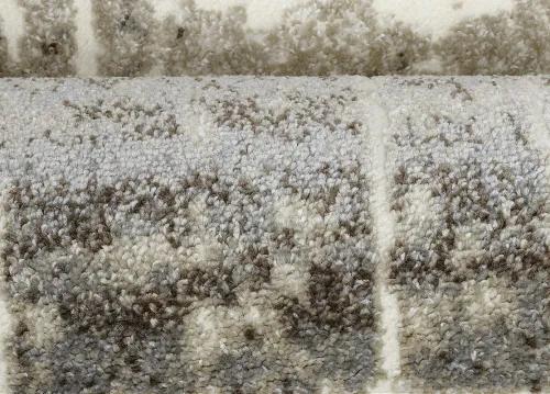 Koberce Breno Kusový koberec VICTORIA 8030 - 0444, béžová, viacfarebná,200 x 300 cm