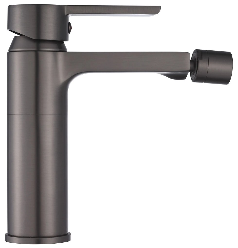 Rea Argus, bidetová batéria h-160, grafitová matná, REA-B3004