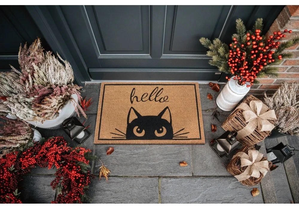 Rohožka 70x45 cm Mix Mats - Hanse Home
