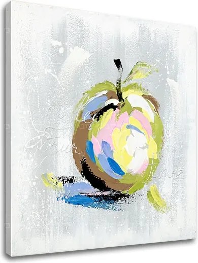 Obraz na plátne JABLKO 1 dielny XOBDO142D1