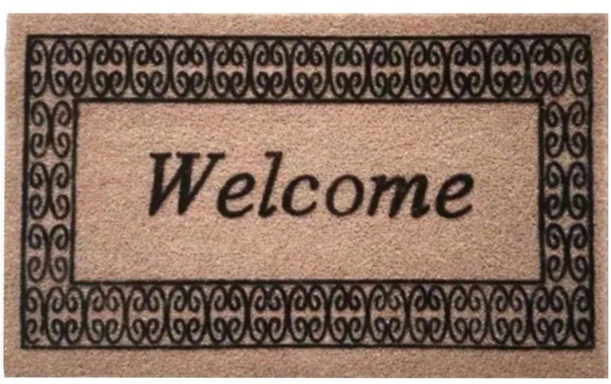 Rohožka  dm4575wel2 45x75 welcome 2