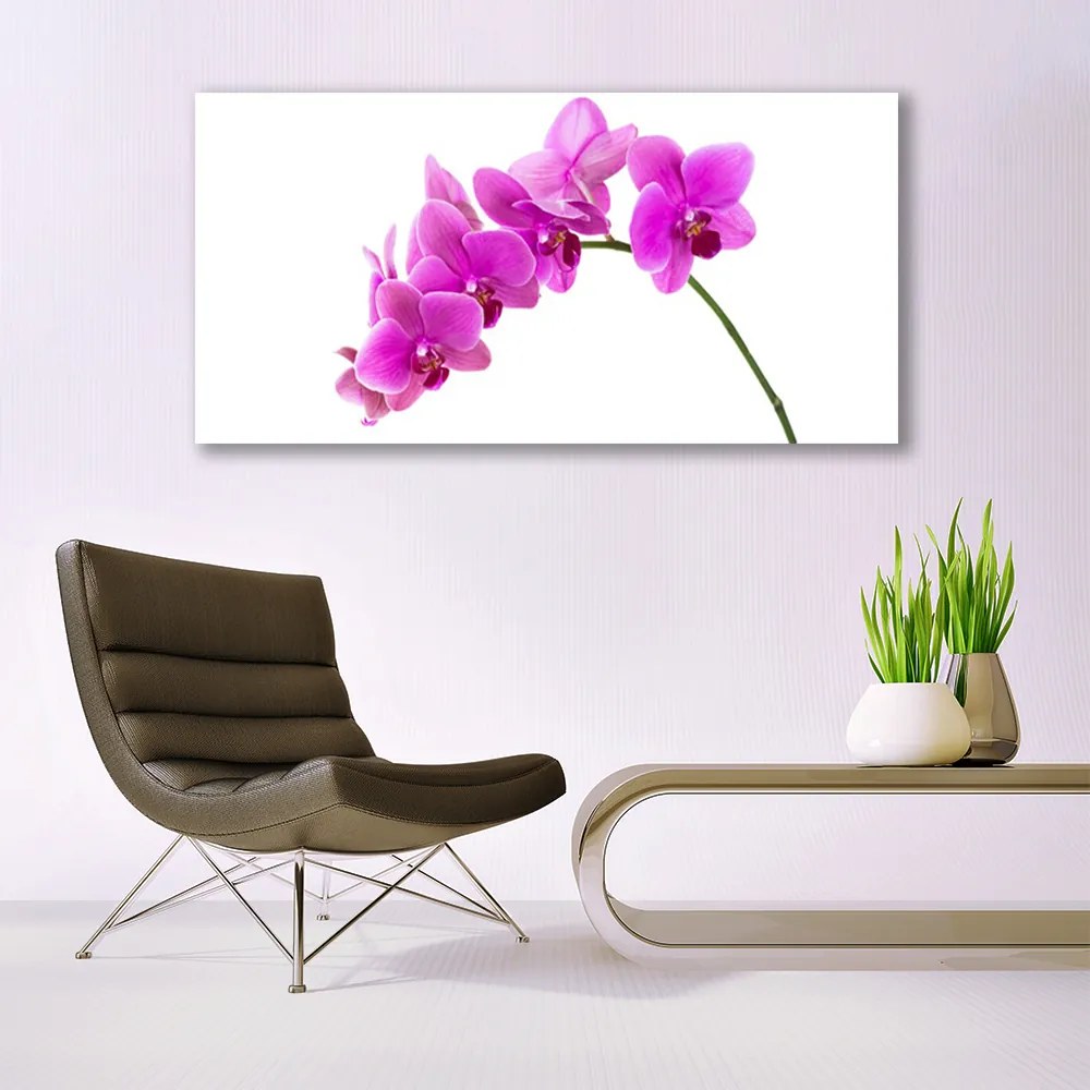 Obraz plexi Vstavač kvet orchidea 120x60 cm