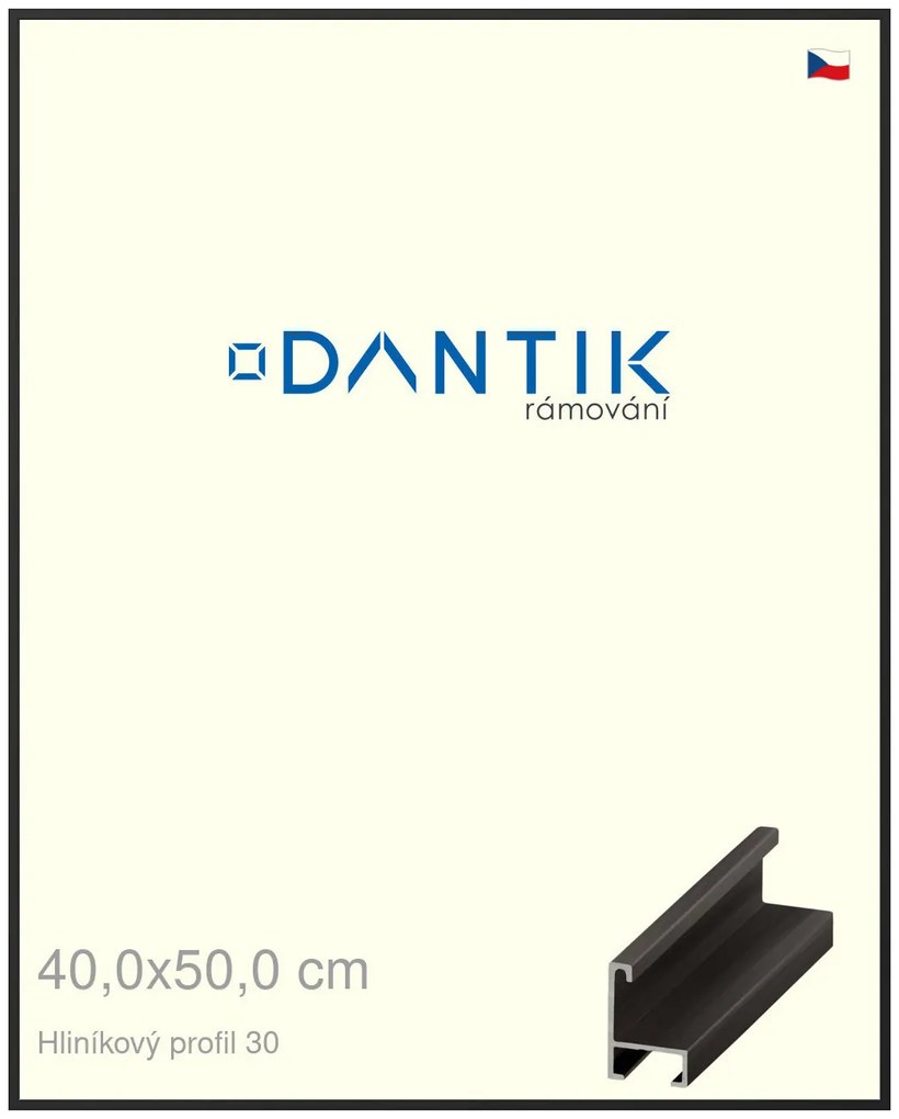 DANTIK rám na obraz 40x50 | ALU Černá matná (Plexi Čiré)