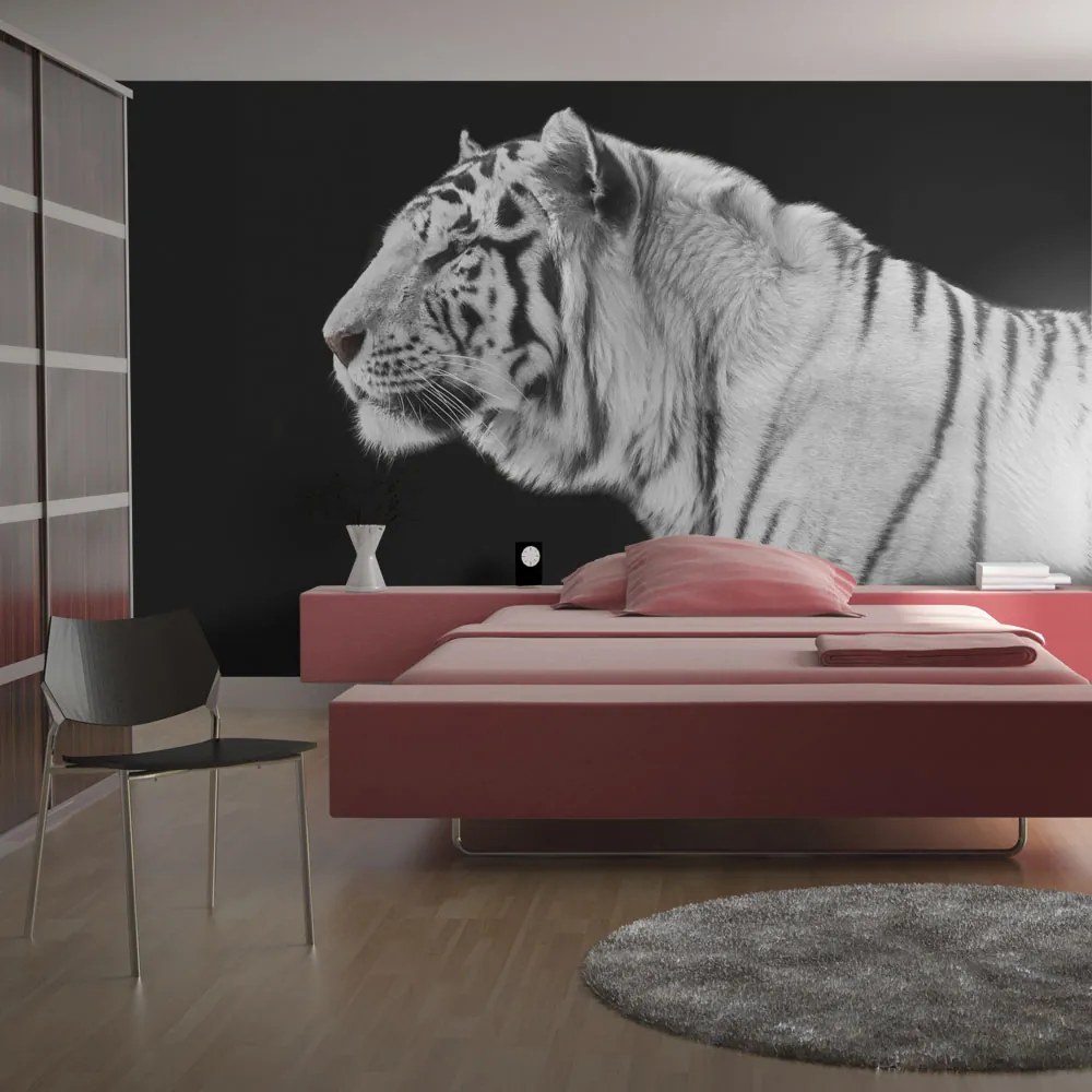 Fototapeta Bimago - White tiger + lepidlo zadarmo 200x154 cm