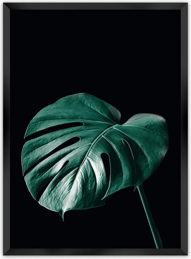 Plagát Dark Monstera