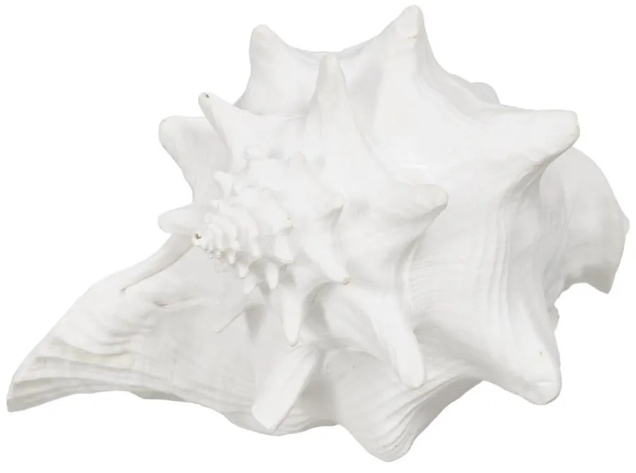 Soška z polyresínu (výška 13 cm) Seashell – Ixia