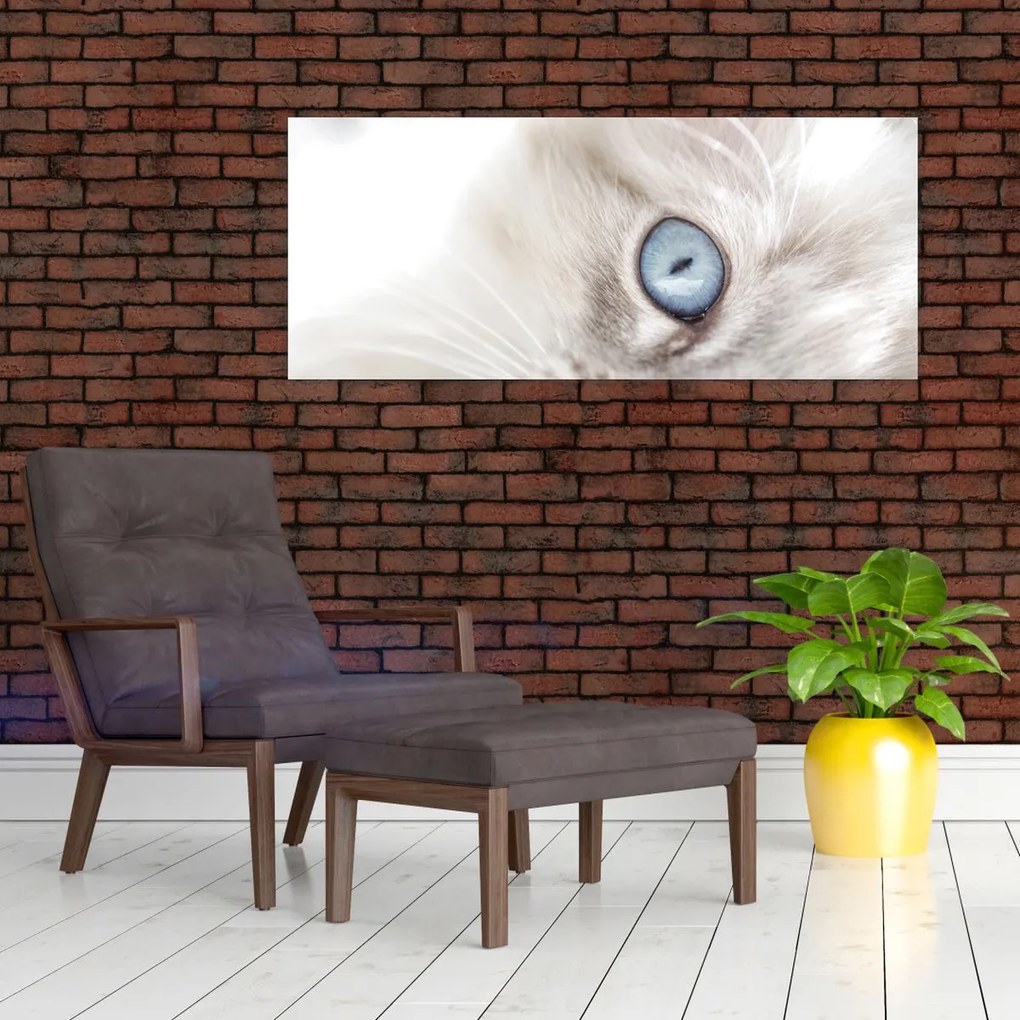 Obraz - Mačka s modrými očami (120x50 cm)