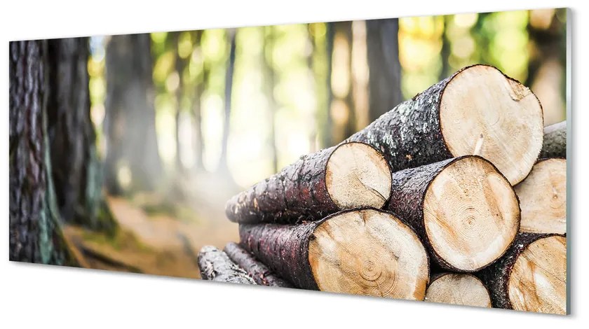 Obraz plexi Drevo prales prírode 120x60 cm