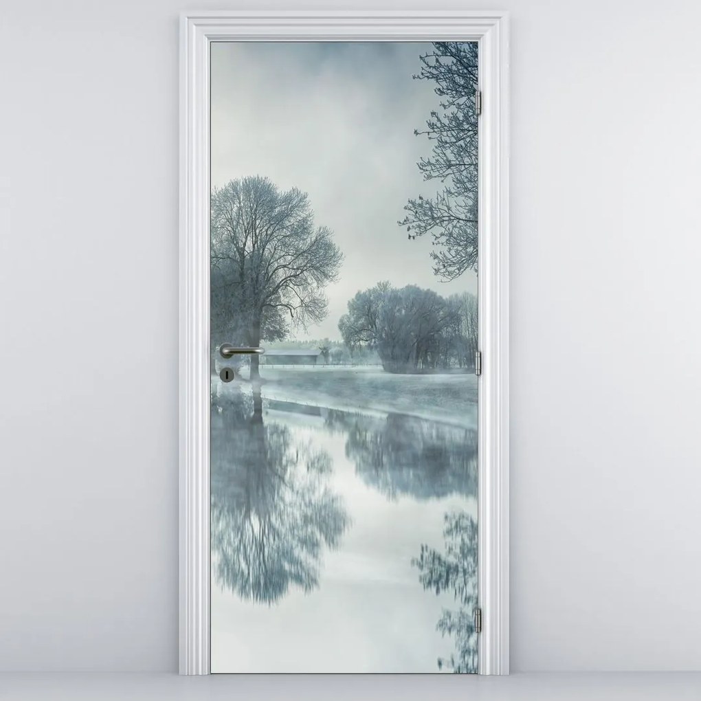 Fototapeta na dvere - Zimná príroda (95x205cm)