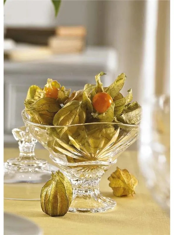 RCR OASIS POHÁR NA WHISKY 320ML SADA 6 KS