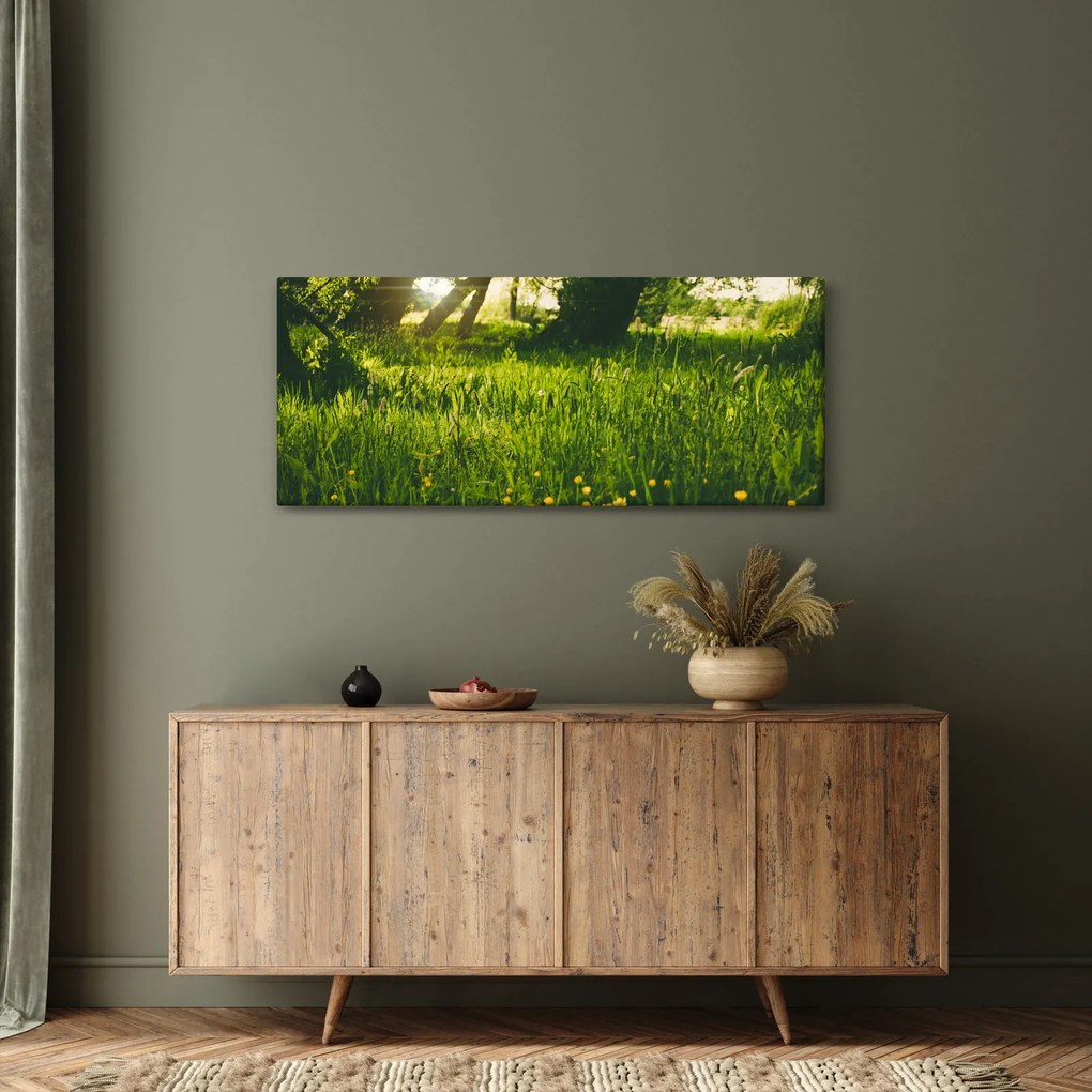 Obraz prírody - lúka (120x50 cm)