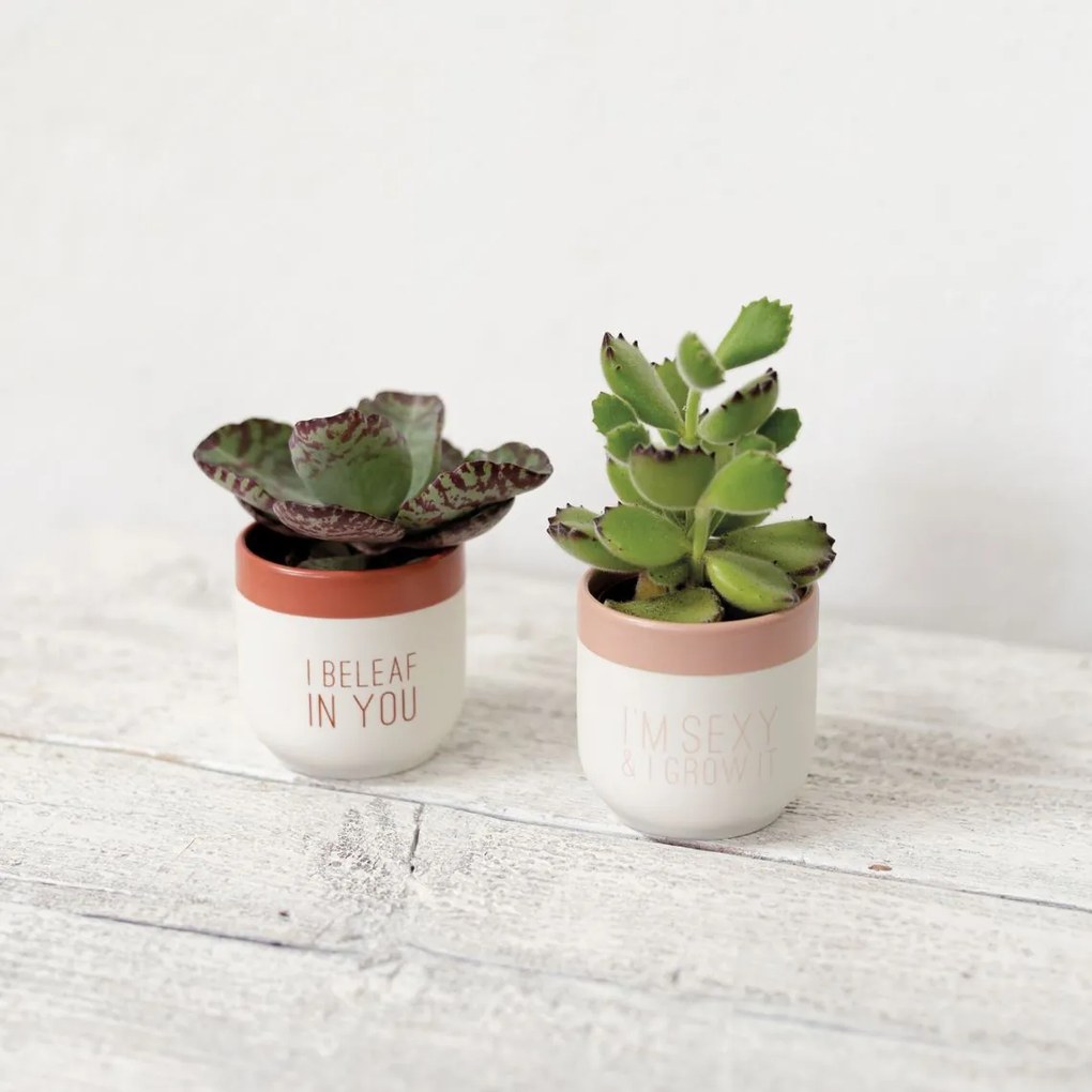 räder Keramický obal na kvety I Beleaf in You