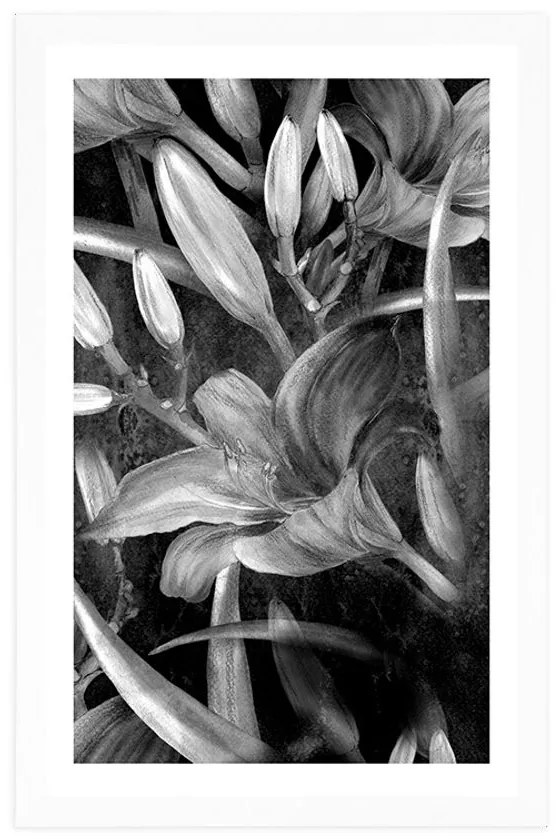 Plagát s paspartou rozkvet ľalie v čiernobielom prevedení - 40x60 black