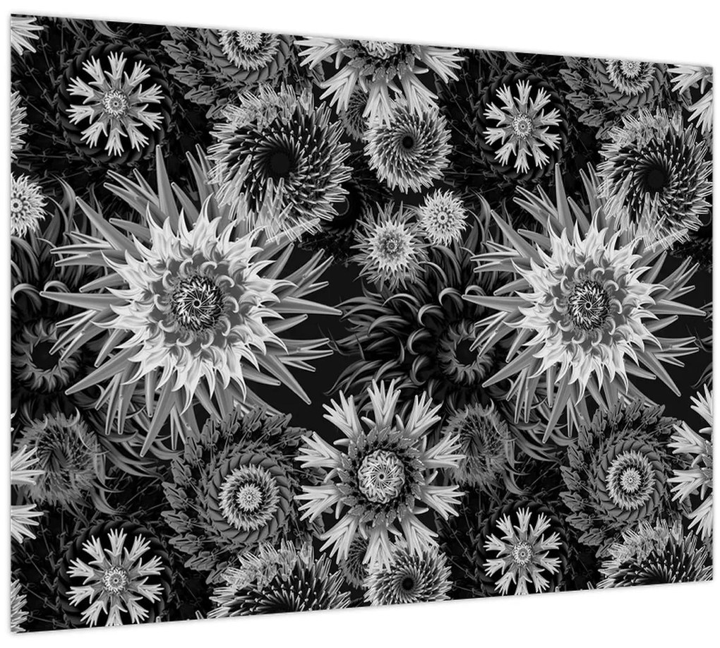 Obraz - Čiernobiele bodliaky (70x50 cm)