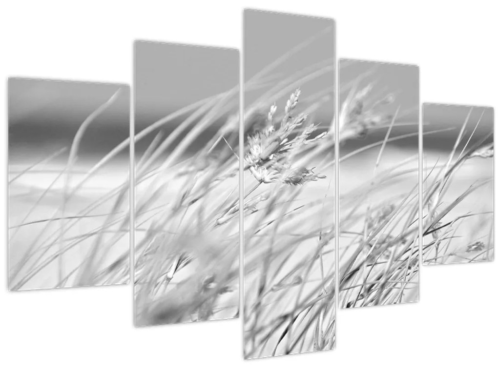 Obraz - Plážová tráva (150x105 cm)