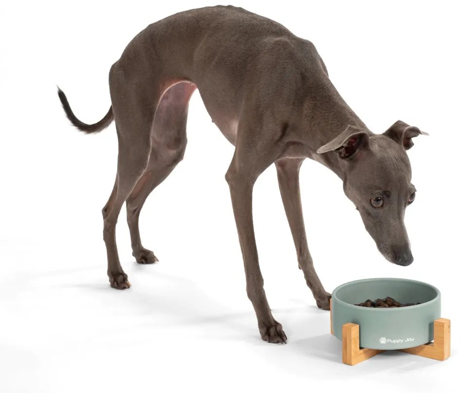 Keramická miska na bambusovém stojanu pro psy a kočky CATI šedá