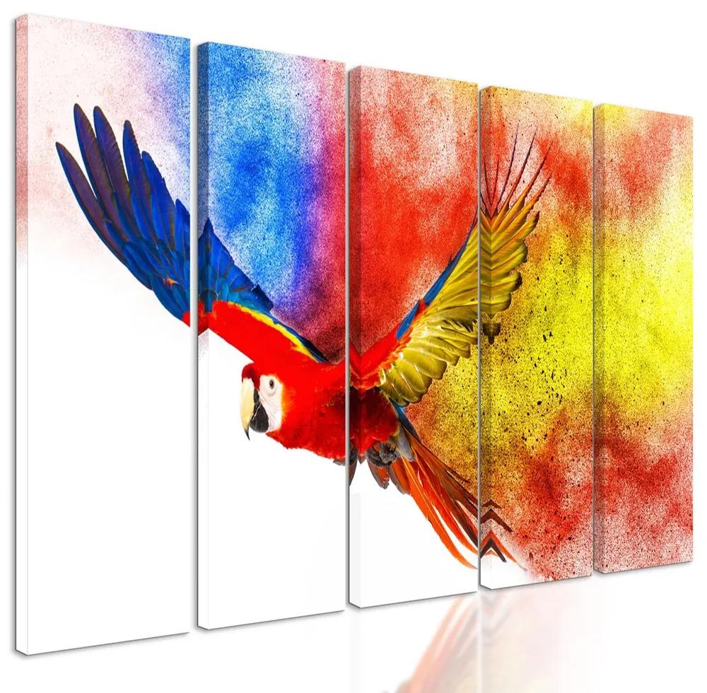 5-dielny obraz pestrofarebný letiaci papagáj