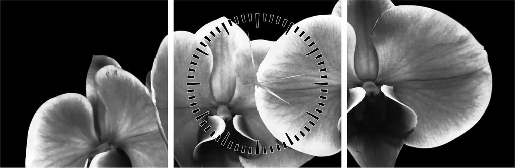Obraz kvetu orchidey (s hodinami) (90x30 cm)