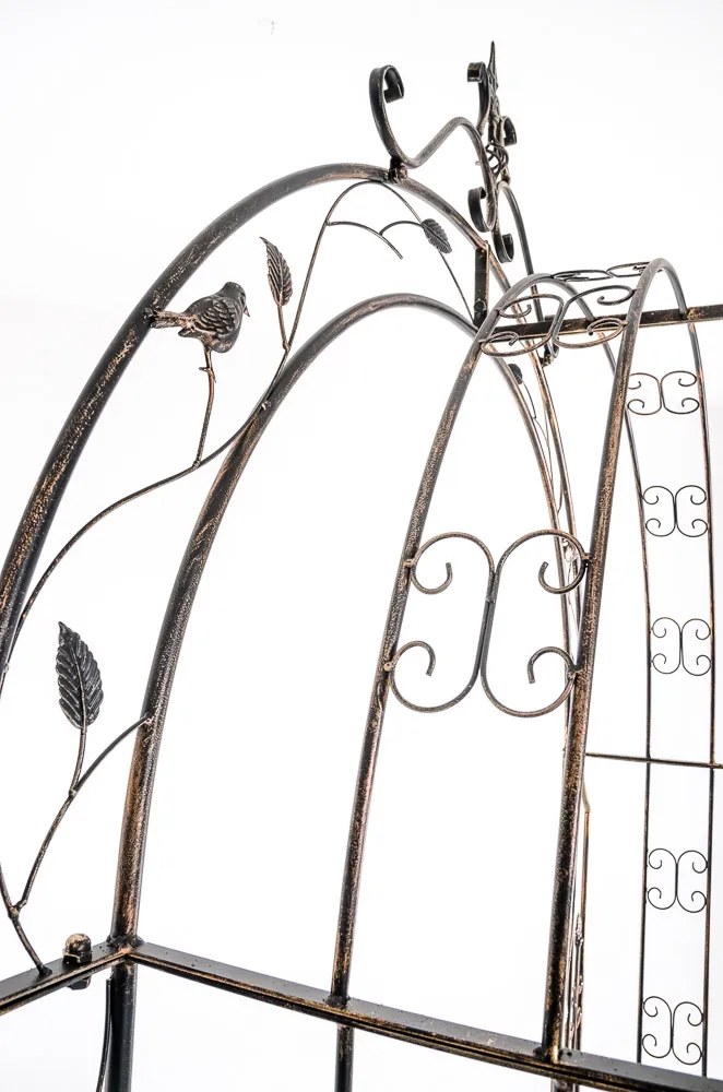 Pergola na popínavé rastliny GS22232 s bránkou - Bronzová