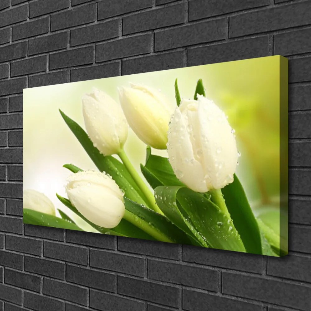 Obraz na plátne Tulipány kvety rastlina 125x50 cm