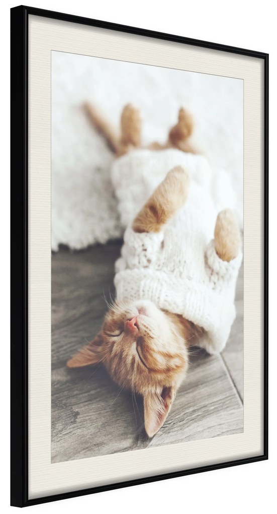 Artgeist Plagát - Lazy Cat [Poster] Veľkosť: 20x30, Verzia: Čierny rám