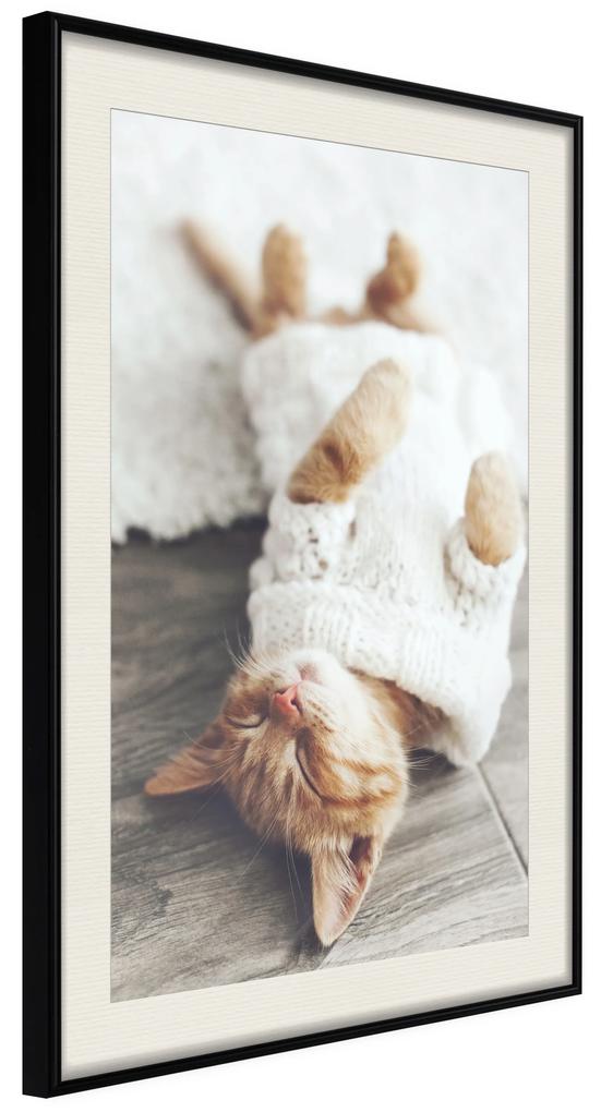 Artgeist Plagát - Lazy Cat [Poster] Veľkosť: 30x45, Verzia: Čierny rám s passe-partout