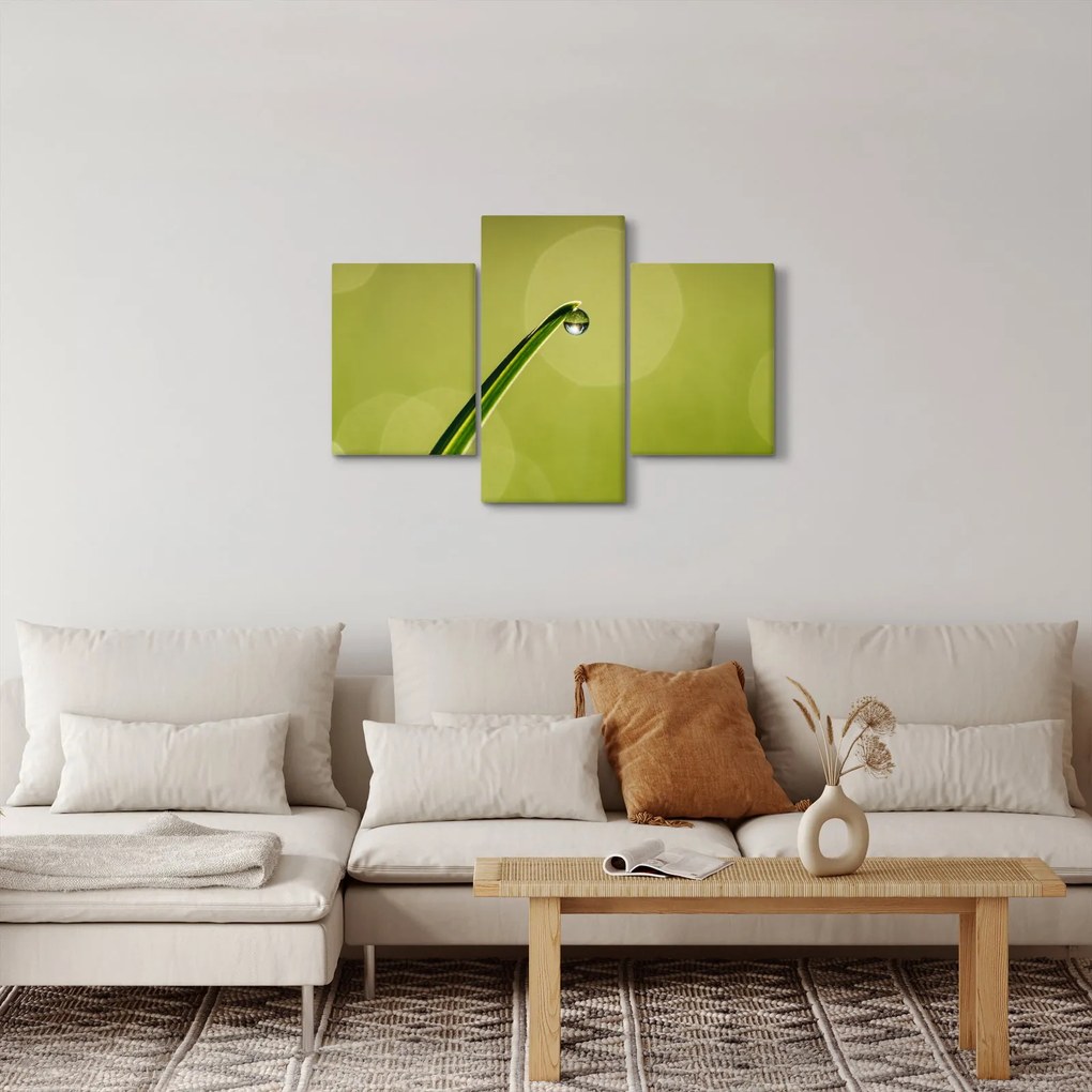 Obraz kvapky vody na tráve (90x60 cm)