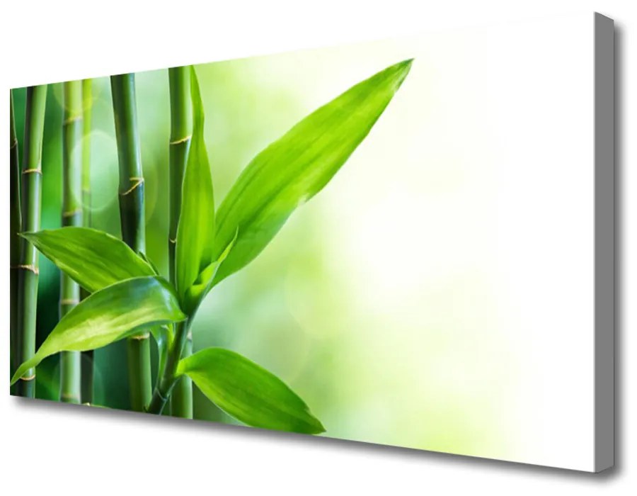 Obraz Canvas Bambus list rastlina príroda 140x70cm