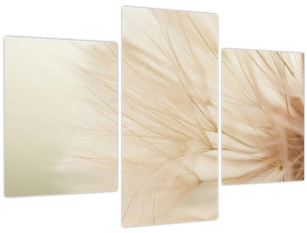 Obraz - Detaily kvetu (90x60 cm)