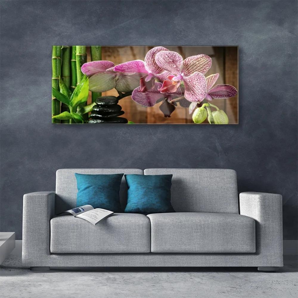 Obraz na akrylátovom skle Kvetiny bambus rastlina 125x50 cm