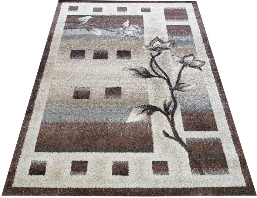 DY OTTO 02 Hnedý koberec Rozmer: 80x150 cm