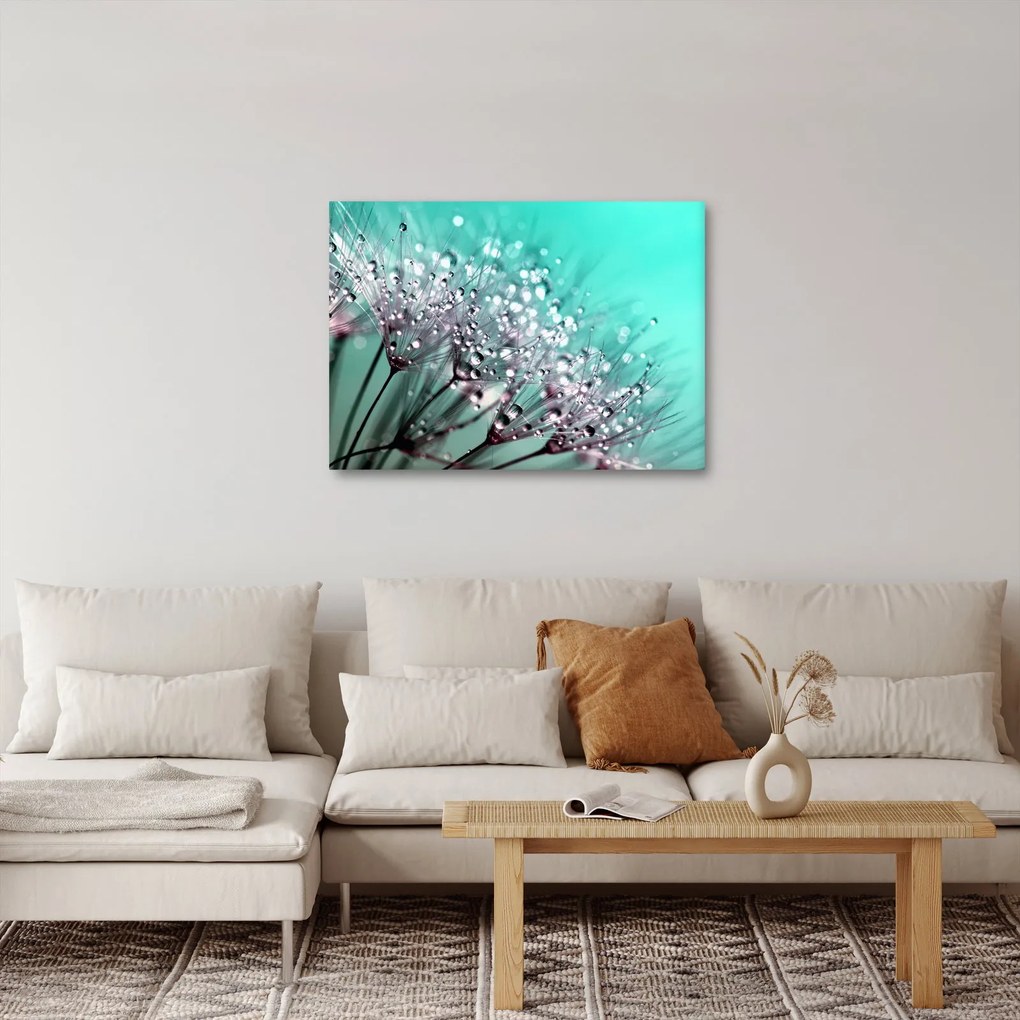 Obraz - orosená rastlina (70x50 cm)
